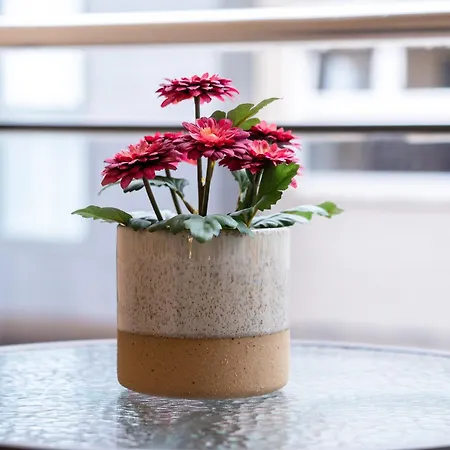 La Bicicleta * Valderrobres